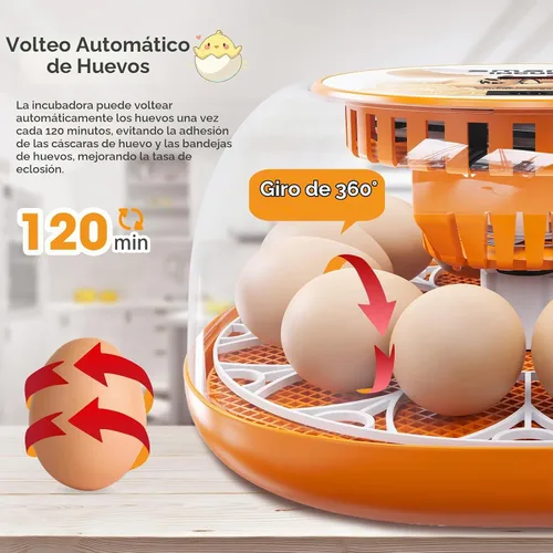 Vista 2 de Incubadora de 12 huevos con giro automático de huevos y control de temperatura, adición automática de agua, vela LED de huevos, incubadoras