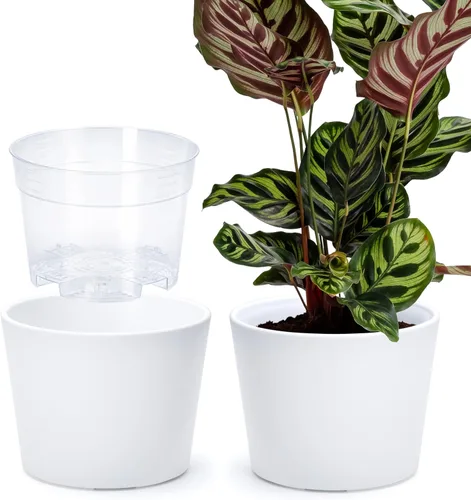 Vista 44 de Phoenix Vine Macetero de plástico verde oliva de 4.5 pulgadas con maceta transparente, cubierta decorativa ligera con maceta interior transparente