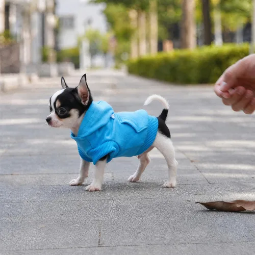 Vista 7 de LOPHIPETS Sudaderas con capucha de algodón para perros pequeños, chihuahua, ropa para cachorros, abrigo para clima frío, color azul Cambridge/XXS