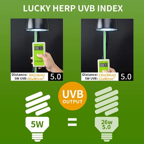 Vista 3 de LUCKY HERP Mini luz de reptil UVA UVB 5.0 5W, bombilla UVB para todos los reptiles tropicales y subtropicales, bombilla fluorescente compacta UVB