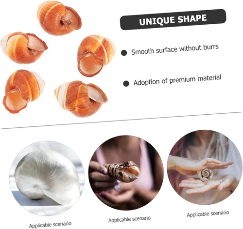 Vista 2 de BESPORTBLE 5pcs Natural Escargot Snail Shells Large Conch Shells for Baking Hermit Crab Habitat Heat Insulation Snail Shells for Restaurant