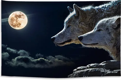 Vista 9 de ARTXZDZ Tapiz de delfín con efectos 3D, tapiz de animales del mundo submarino, decoración de pared para fondo de acuario bajo el mar, decoración