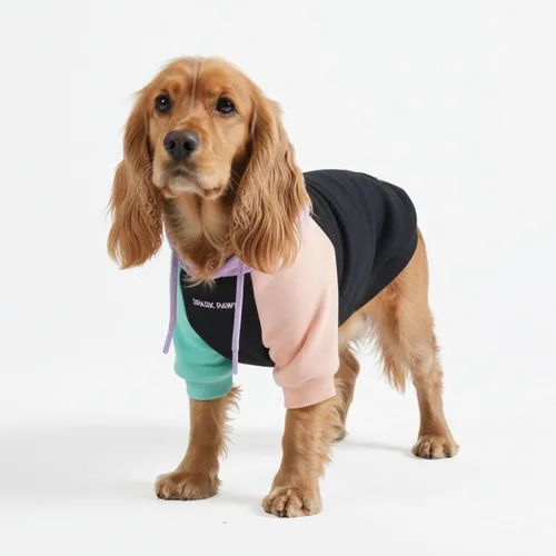 Vista 31 de Spark Paws Sudadera con capucha para perro, suéter de primera calidad para perros pequeños, medianos y grandes Trajes cálidos para bulldogs