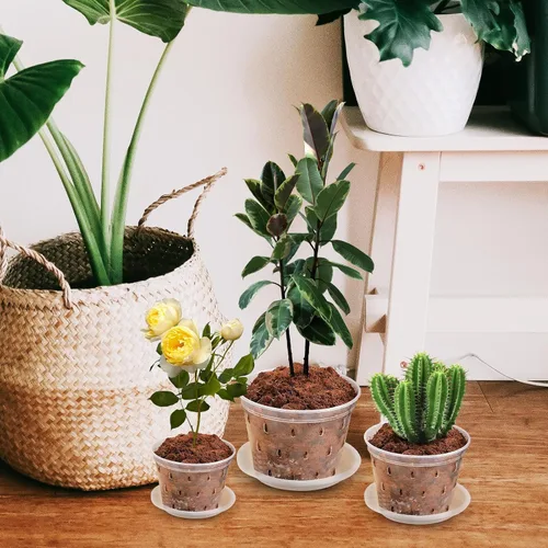 Vista 7 de 3pcs Plastic Orchid Pots and Saucer Set with Drainage Holes