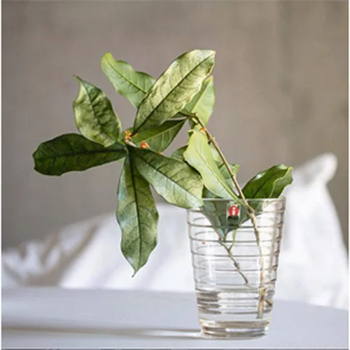 Vista 9 de Iittala Juego de 2 vasos transparentes de 11.2fl oz, 2 unidades (paquete de 1)
