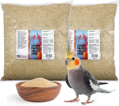 Vista 48 de Semillas de cáñamo Morning Bird, 4.5 lb