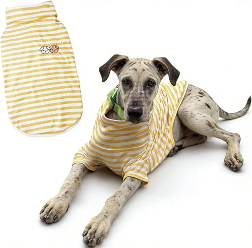 Vista 13 de Suéter de cuello alto para perro, lindo bordado de perrito, sudadera súper suave para perro, camisa para perro, suéter elástico a rayas para Raya