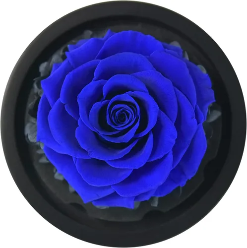 Vista 6 de SW Rosa azul real preservada para siempre en cúpula de cristal, diseño