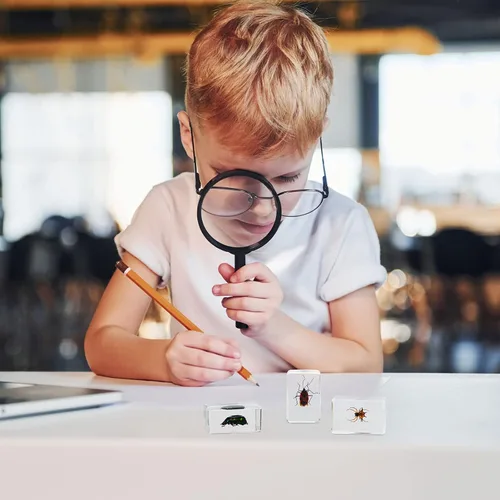 Vista 6 de 12 piezas de especímenes de insectos para niños, kit de colección