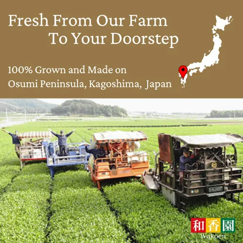 Vista 5 de Houjicha - Polvo de té verde de alta calidad, auténtico origen japonés, bolsa de 1 oz (30 g), desde nuestra casa de té hasta tu puerta