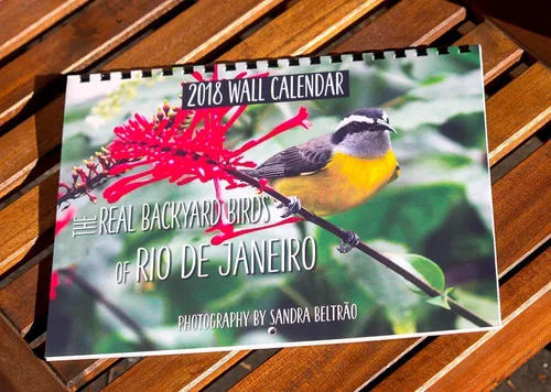 Vista 6 de 2018 Wall Calendar (The Real Backyard Birds of Rio de Janeiro)