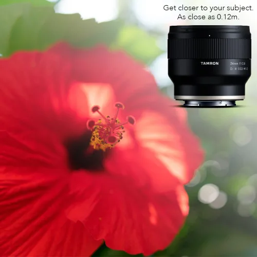 Vista 6 de Tamron 24mm F/2.8 Di III OSD M1:2 Lente para Cámara Sony Full Frame/APS-C E-Mount Mirrorless 2 macro, filtro de 2.638 in, 7.58 oz, resistente a