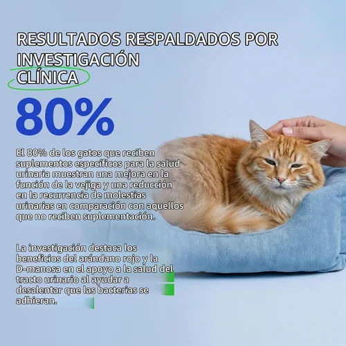 Vista 3 de Suplemento de arándano para el tratamiento de la infección urinaria