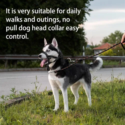 Vista 6 de Collar de cabeza de perro con tela reflectante, arnés ajustable para cabeza de perro para evitar tirones para perros pequeños, medianos y grandes