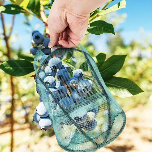 Vista 5 de DOITOOL Herramienta para recoger arándanos, recogedor de frutas, jaula de recolección de frutas, cesta de cosecha de frutas, equipo de frutas
