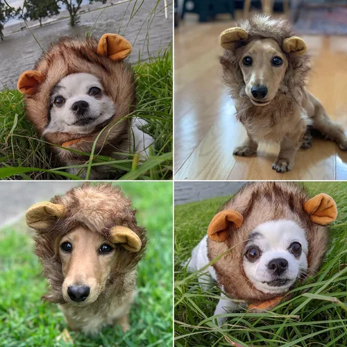 Vista 3 de Pet Krewe - Disfraz de melena de león para perro, para cuello de 8 a 14 pulgadas, melena de león para perros pequeños, ideal para Halloween