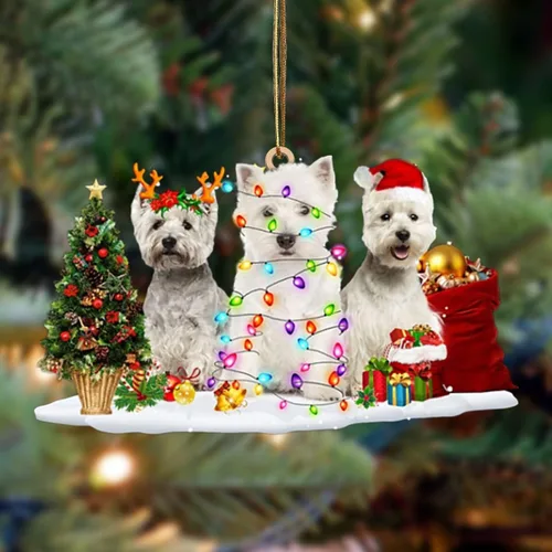 Vista 24 de Nazenti Adorno de Navidad personalizado con amigos Affenpinscher – Adorno de perro personalizado para amantes de las mascotas, acrílico plano