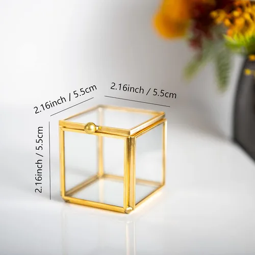 Vista 2 de Feyarl Pequeña caja de joyería de cristal transparente para baratijas aretes caja de sombra organizador decorativo para el cofre del tesoro con tapa