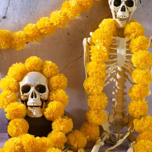 Vista 5 de Tigeen 60 guirnaldas de caléndula para decoración de 4 pies, flores artificiales de caléndula para decoración de manto, flores de caléndula india