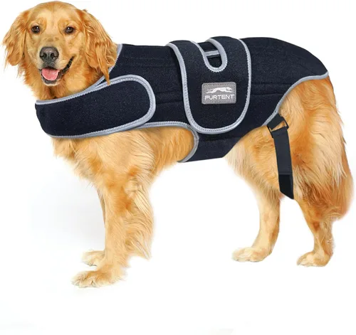 Vista 6 de Soporte de espalda para perro para IVDD, soporte de espalda suave y transpirable para mascotas para Shih Tzu y perro salchicha, arnés