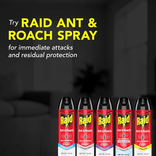 Vista 7 de Raid Ant & Roach Killer Spray para insectos listados, mantiene matando durante 13 semanas, aroma a lavanda, 12 onzas