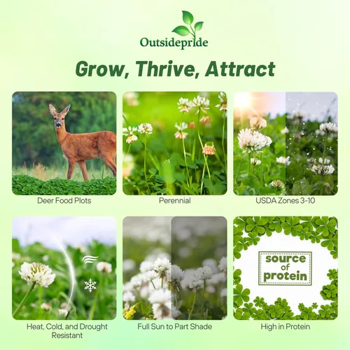 Vista 2 de Outsidepride - Semillas Clover King para parcelas de comida de ciervos y vida silvestre, 5 lb