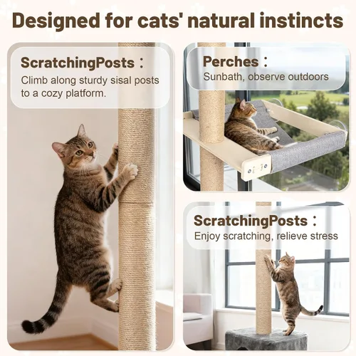Vista 7 de XiaZ Percha para ventana para gatos con poste rascador alto, hamaca de ventana para gatos de 58 pulgadas con condominio para gatos, poste rascador