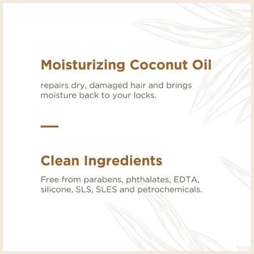 Vista 4 de Soapbox Champú de coco y karité, deja el cabello suave, brillante e hidratado - Ingredientes limpios libres de productos químicos agresivos, Aceite