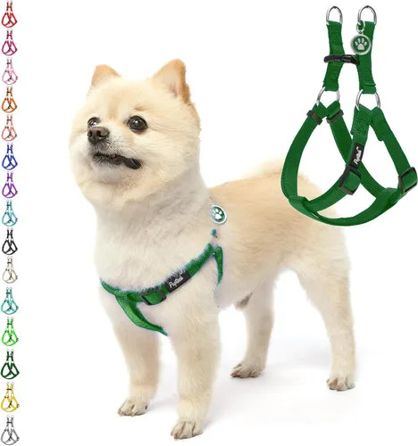 Vista 78 de Pupteck - Arnés para perros sin jalar, suave, ajustable, de nailon, talla básica, chaleco para cachorro, para caminar al aire libre con etiqueta
