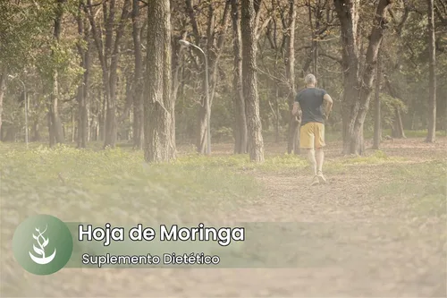 Vista 5 de Pure Original Ingredients Moringa Oleifera (100 cápsulas) siempre puro, sin aditivos ni rellenos, verificado por laboratorio