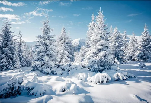 Vista 9 de Renaiss Fondo de fotografía de paisaje forestal de invierno de 7 x 5 pies, paisaje natural, copos de nieve, pinos, fondo para niños y adultos, 23D94