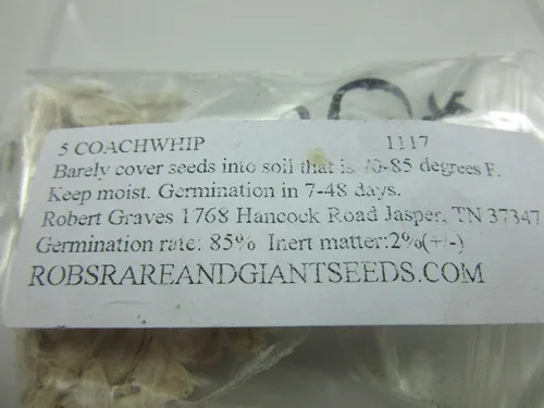 Vista 2 de 1117-Coachwhip, Ocotillo (Fouquieria splendens) Seeds de Robsrareandgiantseeds UPC0764425787174 - Semillas sin OMG, orgánicas, cultivador