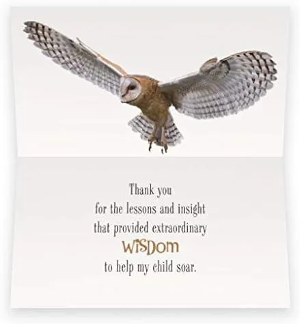 Vista 6 de Smiling Wisdom - Tarjeta de agradecimiento para profesor y pulsera de piedra elástica de búho - Mujer