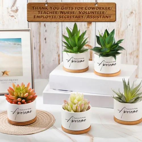 Vista 7 de Paquete de 12 mini macetas de cerámica con bandeja de bambú para decoración de escritorio para empleados, enfermeras, oficina, equipo, decoración