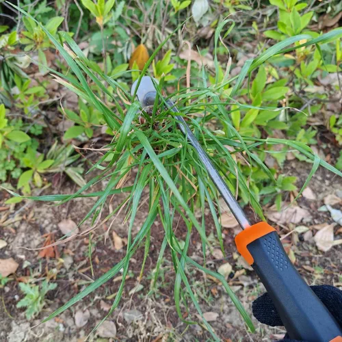 Vista 4 de XIAONAN Herramienta de desmalezas, herramienta de extracción de malezas de jardín con mango, herramienta manual de desbrozadora manual de 4 dientes
