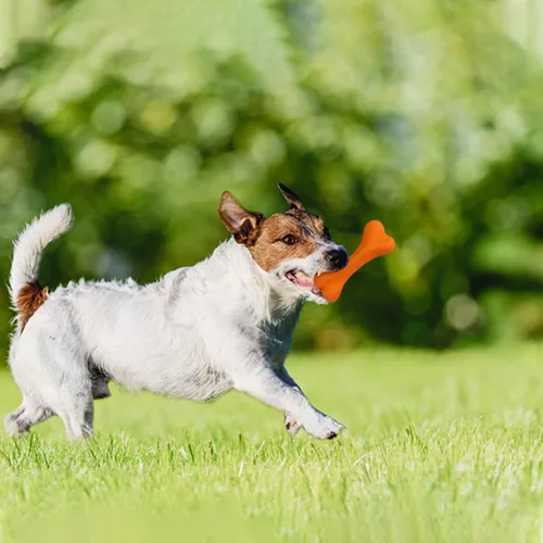 Vista 5 de Juguetes para perros para masticadores agresivos, juguete de hueso de perro súper masticable, resistente, para perros grandes y medianos, raza