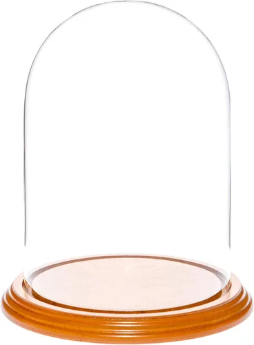 Vista 7 de Plymor Cúpula de cristal de 5.5 x 8 pulgadas (base de madera MDF negra)