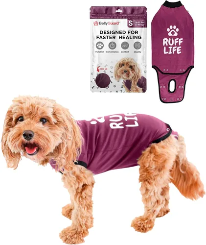 Vista 13 de Traje de Recuperación Quirúrgica BellyGuard para Perros, Mameluco para Perros para Cuidado Post-Operatorio, Ropa de Recuperación para Perros Hembra