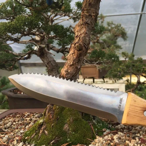 Vista 5 de Bonsai Outlet Tinyroots - Cuchillo Hori Hori para jardinería, herramientas de jardín multiusos utilizadas para excavar, cortar y deshierbar, acero