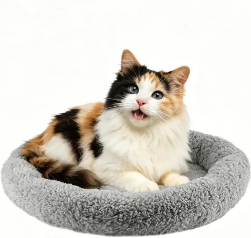 Vista 9 de LESYPET Round Cat Bed, Soft Cat Donut Beds with Pillow Around, Machine Washable Pet Cushion for Kittens/Rabbits/Hamsters, Diameter 11.8