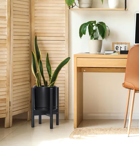 Vista 4 de D'vine Dev Maceta de cerámica con soporte de ébano – Maceta redonda moderna de 8 pulgadas con soporte para maceta de madera, color negro, 55-B-M-2