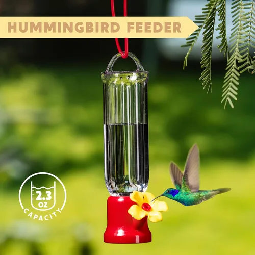 Vista 2 de JOIEDOMI Juego de 6 mini comederos para colibríes con cables para colgar, juego de comederos transparentes para colibríes al aire libre con 3