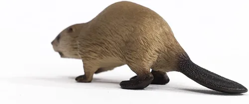 Vista 3 de Schleich Wild Life, North American Woodland Juguetes de animales salvajes para niños, figura de juguete de castor, a partir de 3 años
