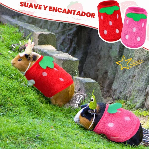 Vista 7 de Mixweer 4 piezas de conejillo de indias incluye 2 ropa de conejillo de indias y 2 lindos mini sombreros con correa ajustable, chaleco cálido