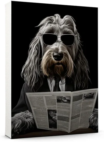 Vista 54 de Thuan Affenpinscher - Póster de lienzo con tus fotos, arte de pared para decoración del hogar, regalo conmemorativo para amantes de las mascotas