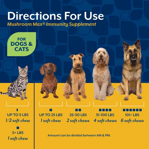 Vista 6 de NaturVet Mushroom Max - Suplemento avanzado para perros de apoyo inmunológico – Ayuda a fortalecer la inmunidad, la salud general de los perros