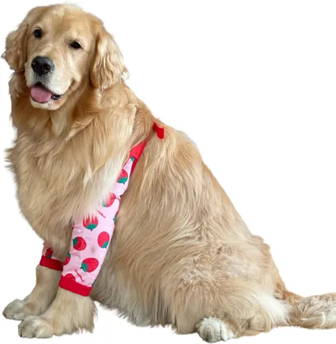 Vista 22 de Protector de codo para perro, coderas con almohadilla de malla para perros medianos y grandes para evitar lamer heridas (automóvil, 4XL)