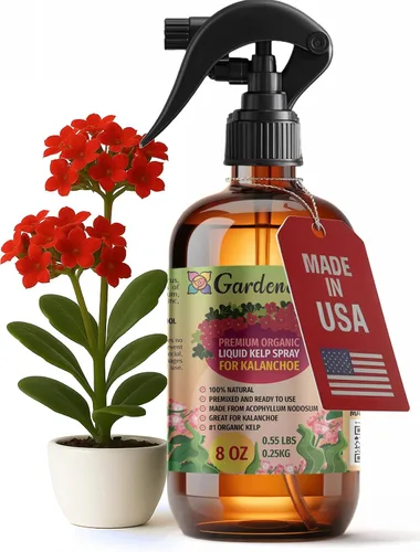 Vista 33 de GARDENERA Spray orgánico profesional de algas marinas para plantas AGLAONEMA – 8 oz – Rocío fertilizante de algas marinas y algas marinas totalmente