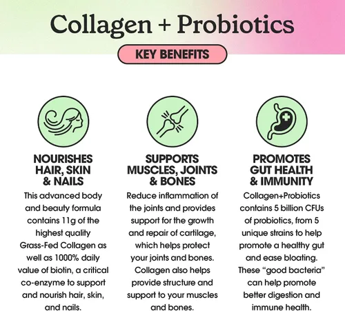 Vista 5 de Fit & Lean Colágeno + probióticos - Polvo de péptido de colágeno alimentado con pasto, sin sabor, 12.64 onzas