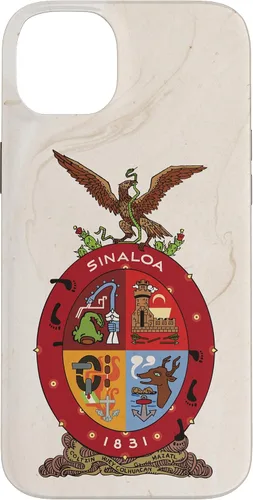 Vista 15 de iPhone 16 Bandera de Sinaloa y fondo elegante - Funda Sinaloense Pride